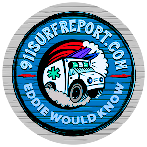 Florida Surf Report – Surfing Hanna Park – Jacksonville Beach Pier Cam Logo