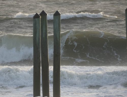 NE Florida Surf Report #1 Thursday 10.02.25 7:20 AM