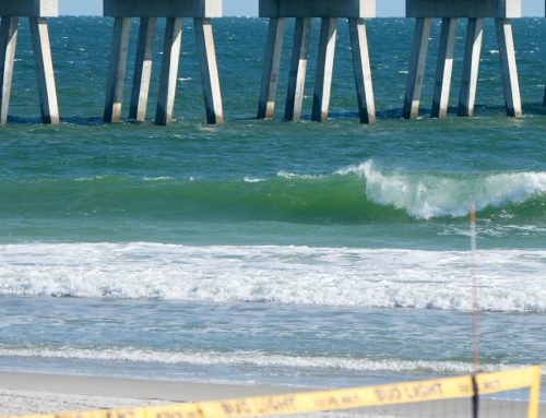 NE Florida Surf Report #2 Thursday 10.23.25 12:00 PM