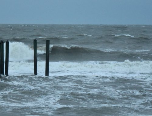 NE Florida Surf Report #1 Friday 10.10.25 7:25 AM