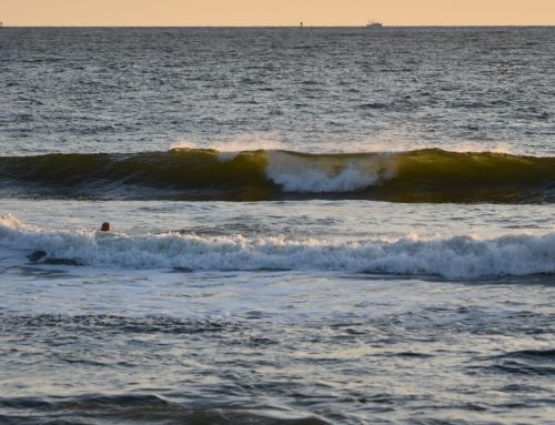 NE Florida Surf Report #1 Friday 10.24.25 7:35 AM