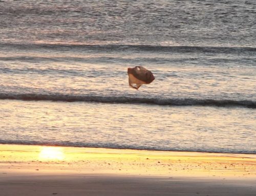 NE Florida Surf Report #1 Monday 6:45 AM