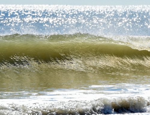 NE Florida Surf Report #2 Wednesday 12:00 PM