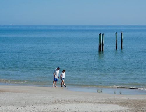 NE Florida No Surf Report #2 Sunday 11:30 AM