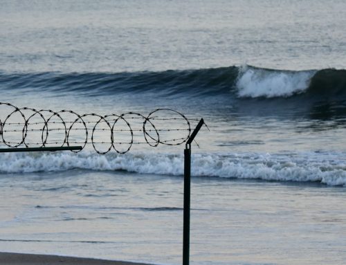 NE Florida Surf Report #1 Sunday 6:50 AM