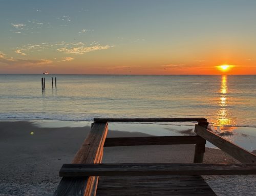 NE Florida Surf Report #1 Monday 6:55 AM