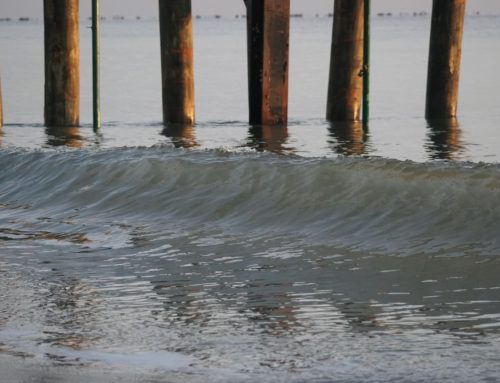 NE Florida Surf Report #1 Friday 7:25 AM