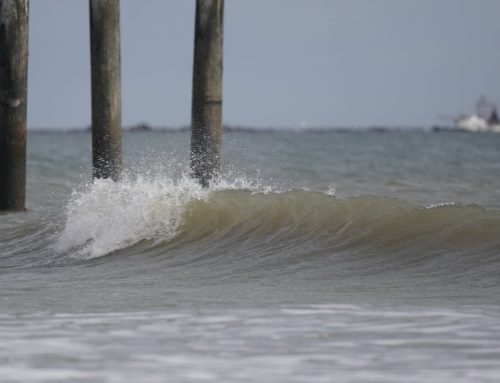 NE Florida Surf Report #2 Saturday 10:30 AM