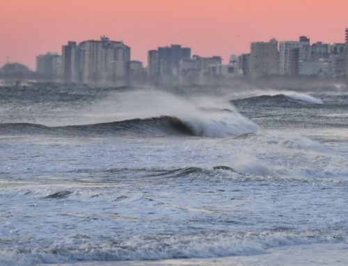 NE Florida Surf Report #1 Sunday 7:20 AM