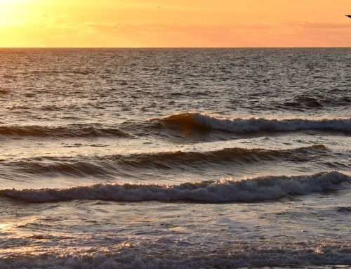 NE Florida Surf Report #1 Wednesday 7:25 AM