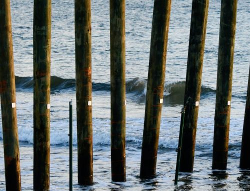 NE Florida Surf Report #1 Saturday 7:25 AM