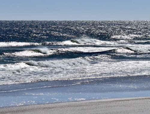 NE Florida Surf Report #2 Tuesday 12:00 PM