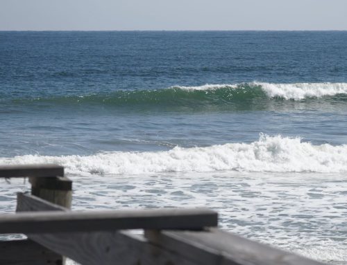 NE Florida Surf Report #2 Tuesday 12:00 PM