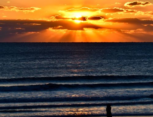 NE Florida Surf Report #1 Monday 7:10 AM