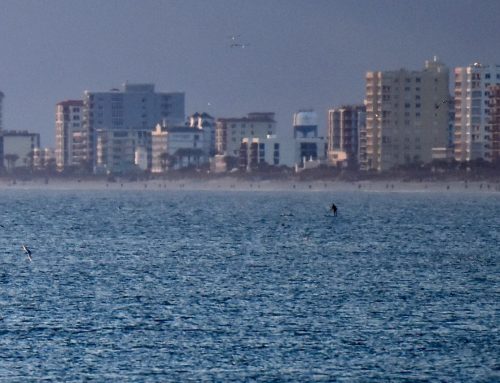 NE Florida Surf Report #1 Thursday 7:10 AM