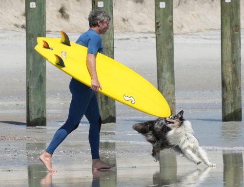 NE Florida Surf Report #2 Friday 12:30 PM