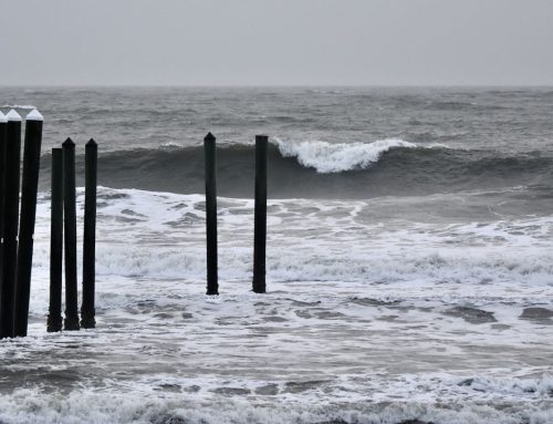 NE Florida Surf Report #1 Wednesday 7:25 AM