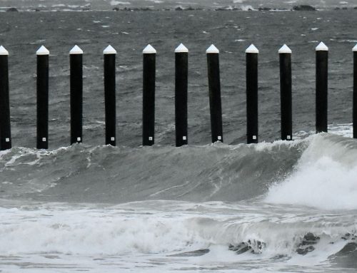 NE Florida Surf Report #1 Monday 6:50 AM