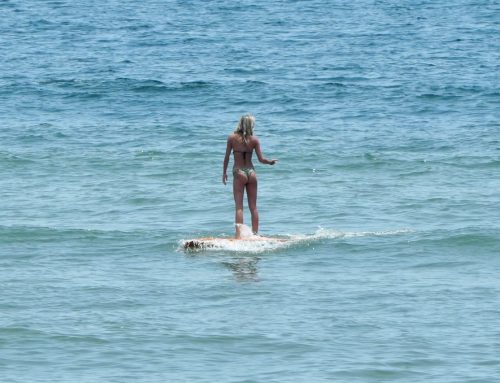 NE Florida Surf Report #2 Saturday 12:30 PM